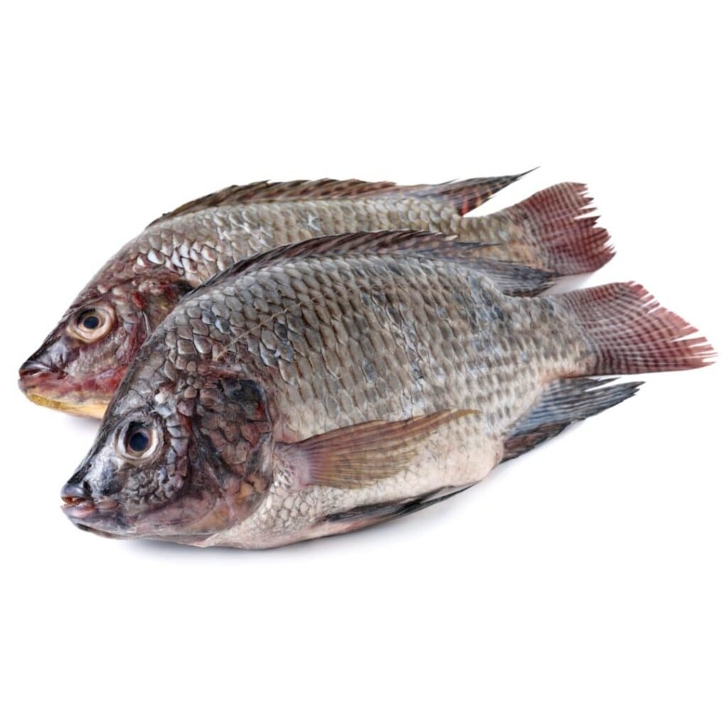 Whole Black Tilapia – 1kg product image