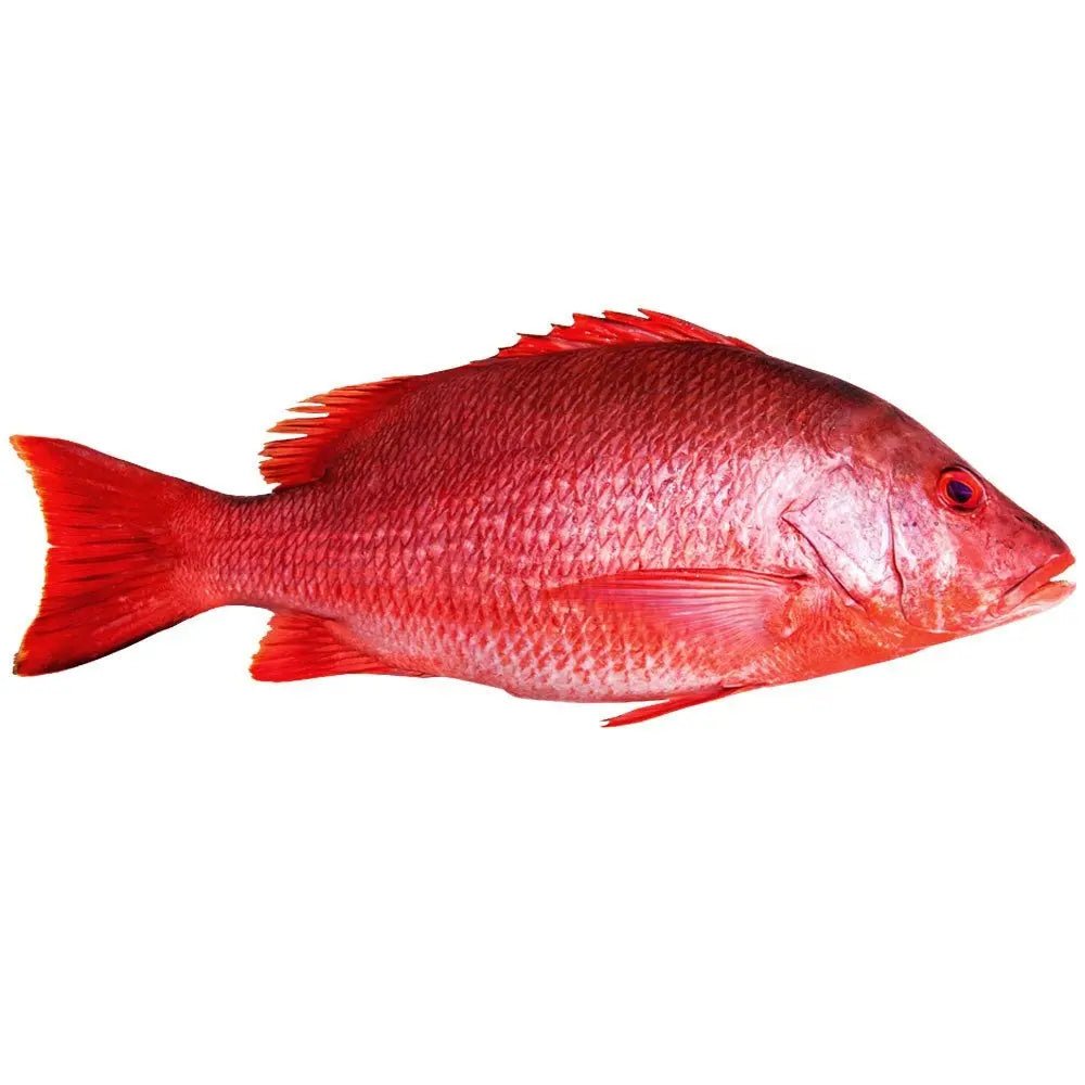 Whole Red Snapper – 2 fish product image